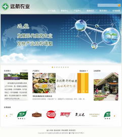 鄭州浩方網(wǎng)絡(luò) 專業(yè)賦能鄭州遠(yuǎn)航農(nóng)業(yè)科技，打造一體化數(shù)字平臺(tái)