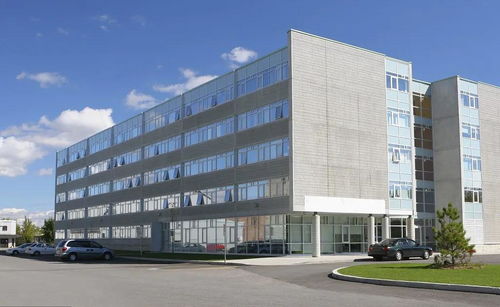 掛靠施工中，滿足特定條件即可直接向發(fā)包人主張工程款