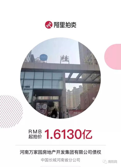 南陽知名房企項目突遭法拍 在建工程1.6億起拍，折射行業困境